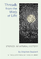 Threads from the Web of Life